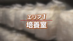 ③愛別町きのこ★培養室 (1).jpg