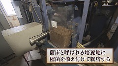 ③愛別町きのこ★培養室 (2).jpg