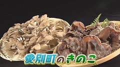 ①愛別町きのこ★ブツ.jpg