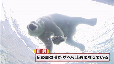 Still0403_00012.jpg