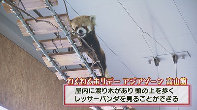 Still0403_00036.jpg