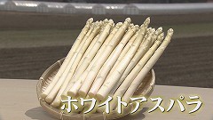 下川町のホワイトアスパラ★ブツ.jpg