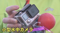 増毛町のミズダコ★小型水中カメラ.jpg