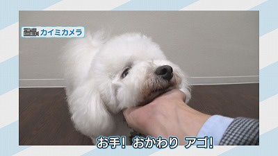 ⑦.jpg