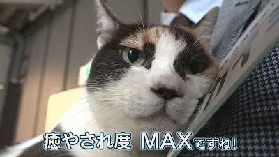 ⑪.jpg