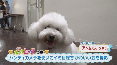 ⑤.jpg