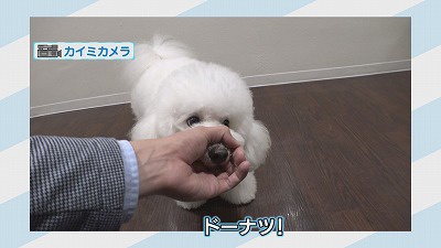 ⑨.jpg