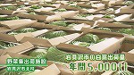 白菜②.jpg
