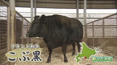 新ひだか町のブランド黒毛和牛「こぶ黒」