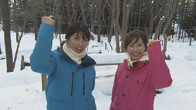 20190207222154-536ba27d571649cb5c182e30e4670734938dfbdc.jpg