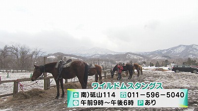 20190403193318-7b5003999a94aa506f280752772b3d3bc1d6acf2.jpg