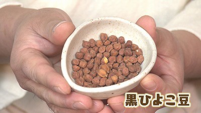 20190509031152-145bc3045b6a354a4d65c5a33e19e0e240487943.jpg