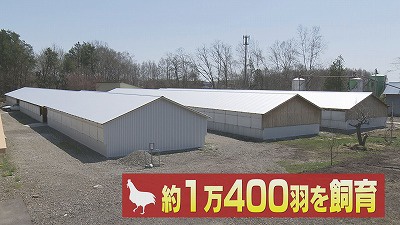 音更町の「奇跡の卵・米艶」