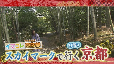 20190531041742-2a01a8cad1917372943e627f1c3642bd12c65bf6.jpg
