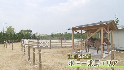 20190613011830-3f35b72d81b12885b43d515cf4715c72cac94845.jpg