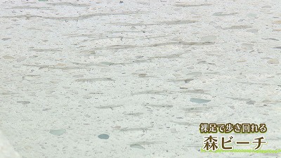 20190613011831-0131baec1b9673e045822fe68536f63d76ef2bf8.jpg