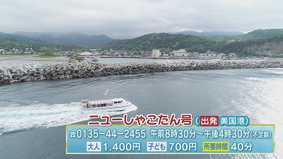 20190709013946-0f64f4bb6f8989697b88c5ad81f5a76ffadcbeb5.jpg