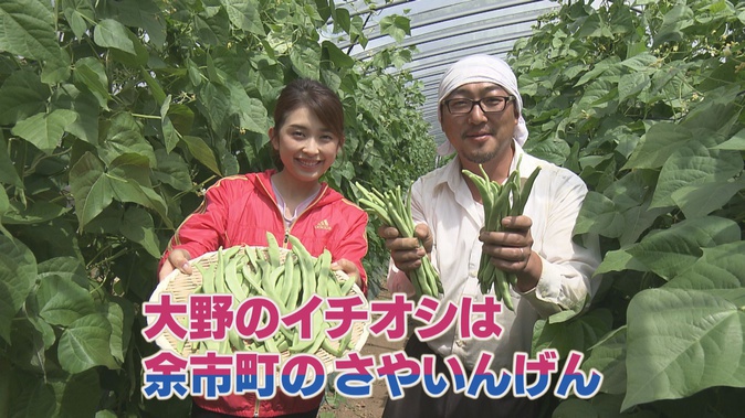 余市町の夏野菜