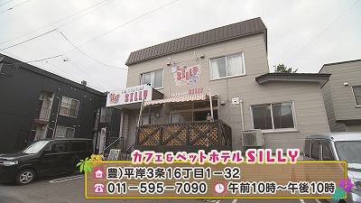 20190723231325-4cffb28bd5823533cdf07af4a27b6520e1f8cb78.jpg