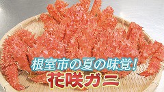 夏の味覚！根室の