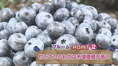 20190817014940-7e2d08593e378e008e7d2472979402695df64168.jpg