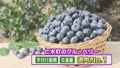 夏の味覚！仁木町の