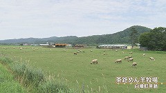 20190823205242-fa3c848b3916e1c96ab75b7fd4283214910aef83.jpg