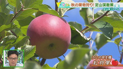 20190925005333-3707ba63c890a7e63d680d196294a9a980e09183.jpg
