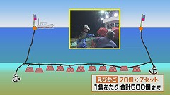 20191004195256-71dd25cd0f4e5415f8c2d51552ce37aa3ddaceb0.jpg