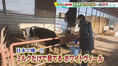 国内唯一の産地　芽室町のブランド牛「ホワイトヴィール」