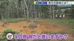 20201010054607-77fddb461c5f5df183813dca64f119d165c7405f.jpg
