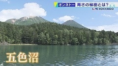 20201010054700-54f7cdb790d155df8f8950a1579ed187a4e43ef9.jpg