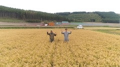 若き4代目農家の想い～中富良野町の