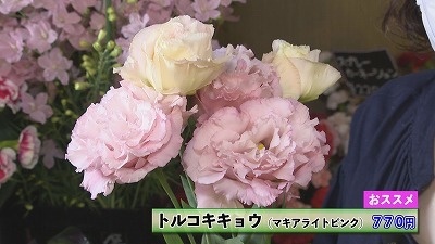 Still0524_00003.jpg