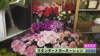 Still0524_00006.jpg