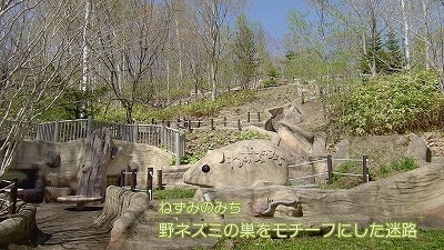 Still0528_00004.jpg