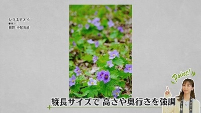 Still0528_00010.jpg