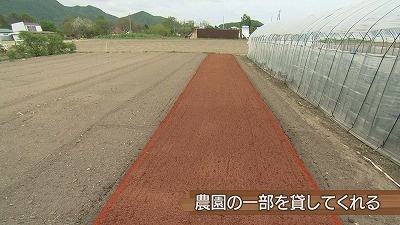 20210531094648-11c6c870d2bd390d9b9977e509b8fad6bc3b214f.jpg