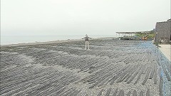 Still0702_00001.jpg