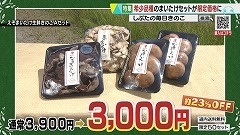 20210814054530-e5ab41582d5d69c9bf25ed459d799ac842ad875f.jpg