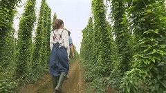 20210828045302-18a485369b916dd74c1e595fa590ef91b2b16d92.jpg