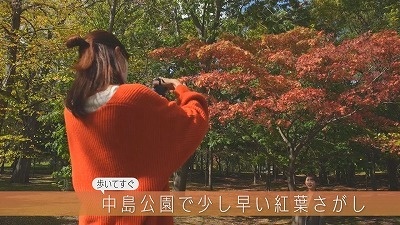 20211027090102-7eda4c8c0721fecedf94f1aacdd2f8f8b26a9525.jpg