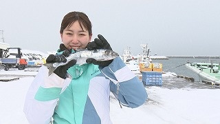 20220219103345-50121da60dbcd9947cba1587f4594fcc00971098.jpg