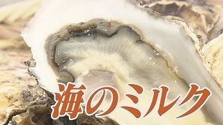 20220319151225-d9f1ece1e4eb8ec5315aae5b86da0838b10c59f8.jpg
