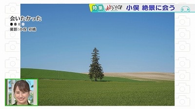 20220617085236-299b9d389871b8cff59a77a2cad9c31df5a3b21c.jpg