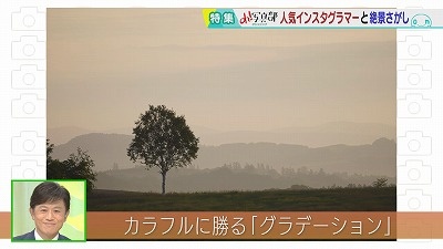 20220617085242-1bce2f803127c3cc594e89036a867d12bfb338db.jpg