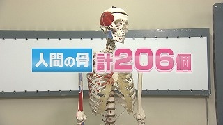 Still1007_00001.jpg