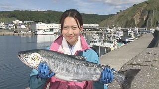食のチカラ　釧路町昆布森の秋鮭