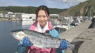 食のチカラ　釧路町昆布森の秋鮭
