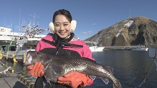 食のチカラ「釧路町昆布森の真だら」